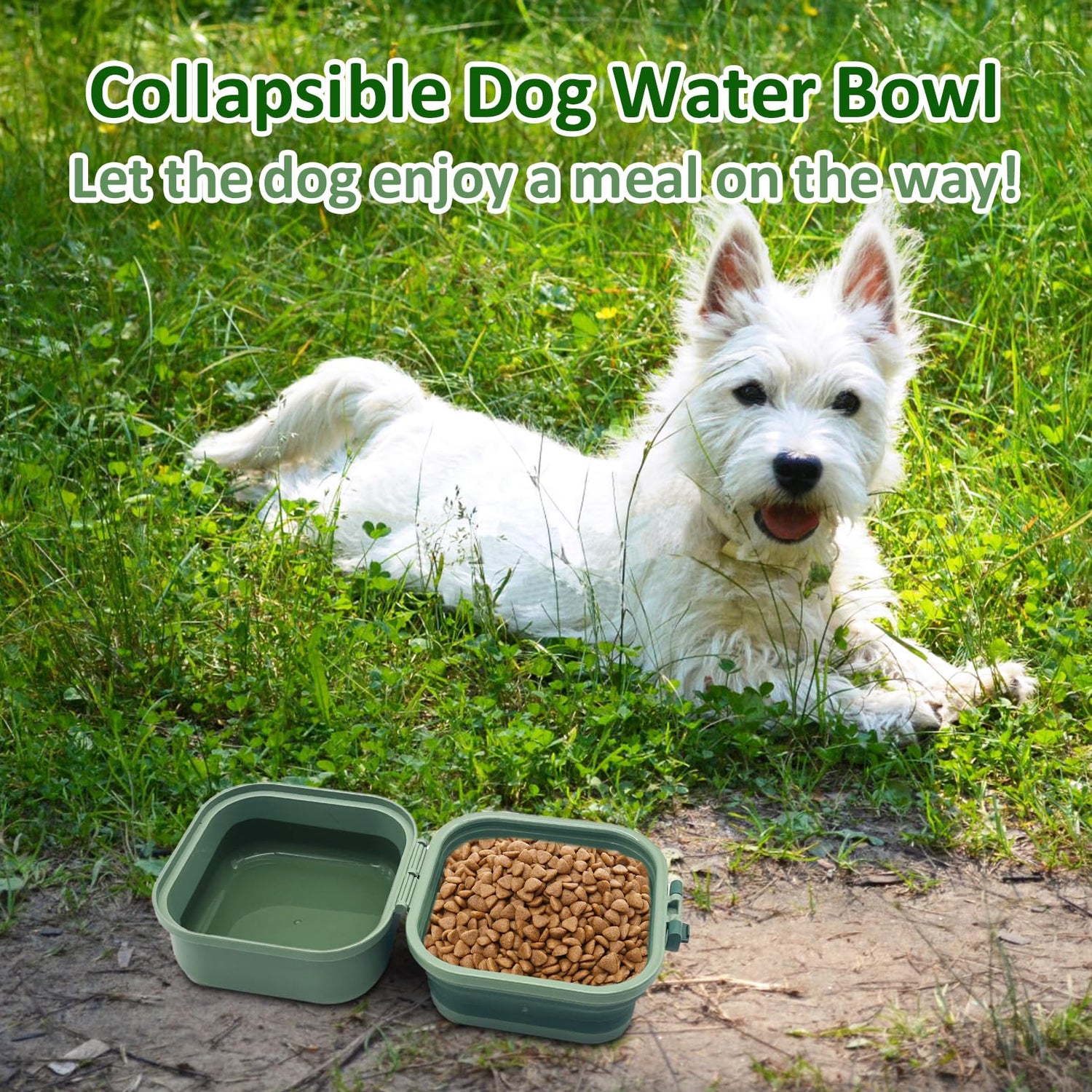 PINVNBY 2PCS Collapsable Dog Water Bowl, Portable Travel Dog Bowls with Lids Foldable Puppy Silicone Dish for Food and Water Feeding for Walking Camping and Hiking