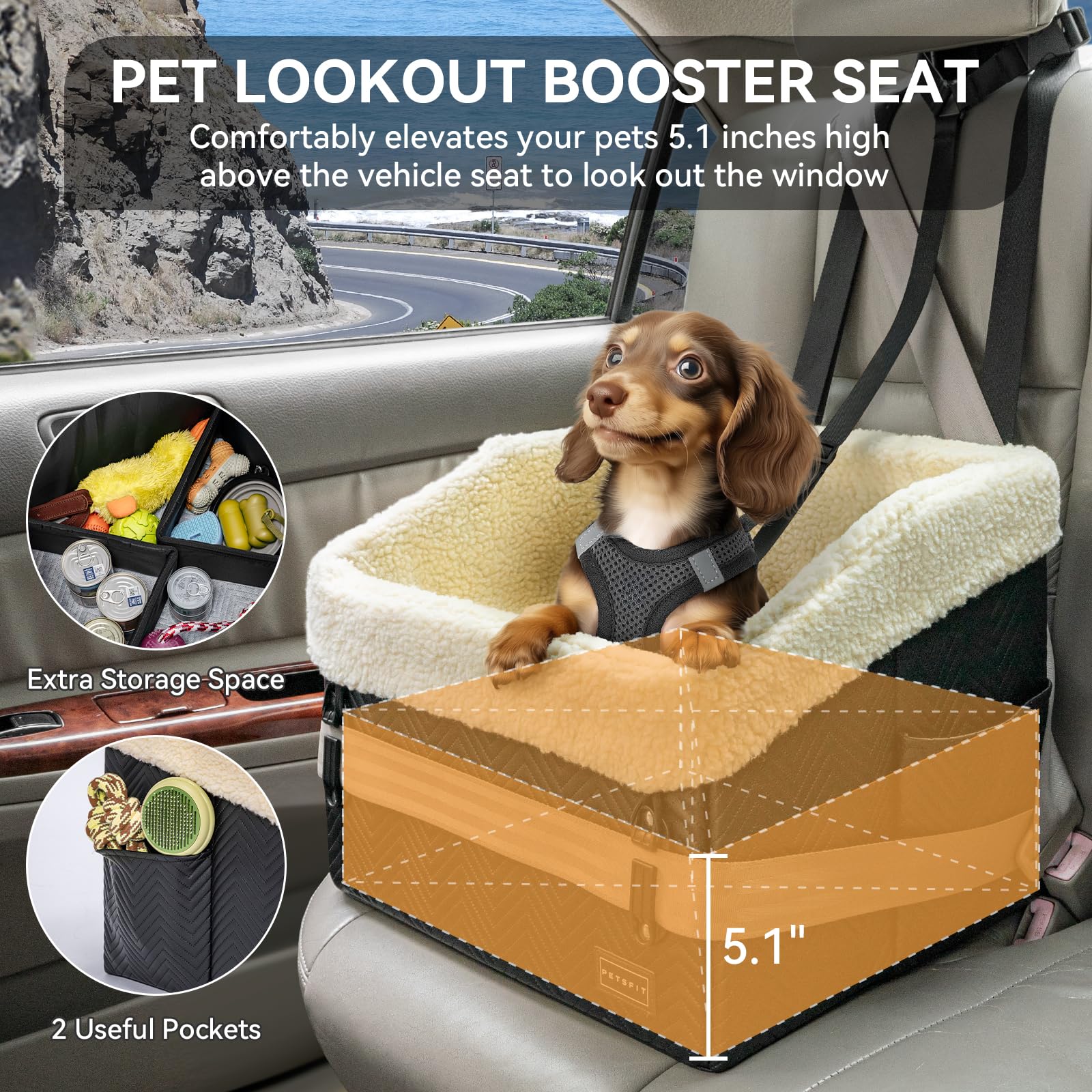 PETSFIT Small Dog Car Seat, Waterproof PU Leather Dog Booster Car Seat with Patented Safe Buckles, Detachable Dog Seat Belt for Car, Dog Car Seat Medium Sized Dog up to 30 lbs (Black)