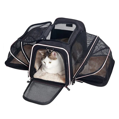 Pet Carrier Backpack