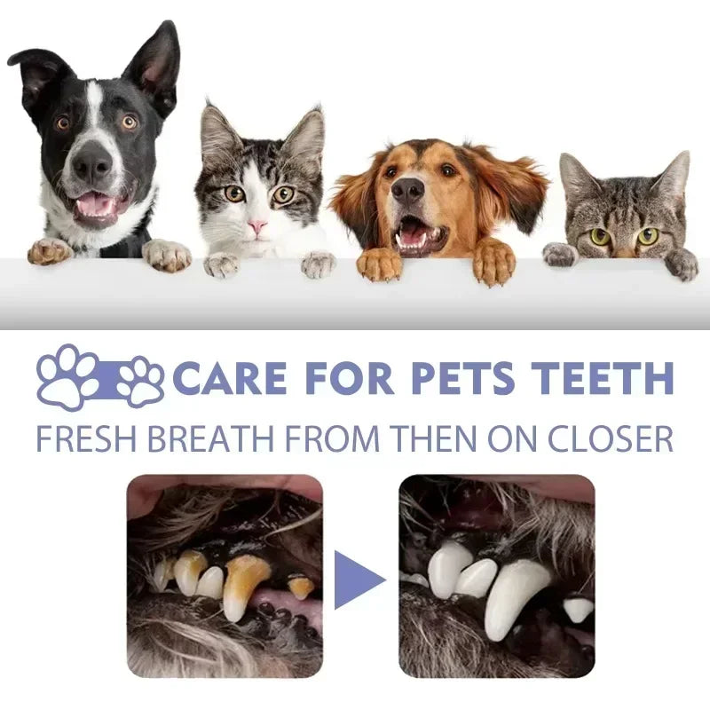 Pet Dental Cleaning Spray