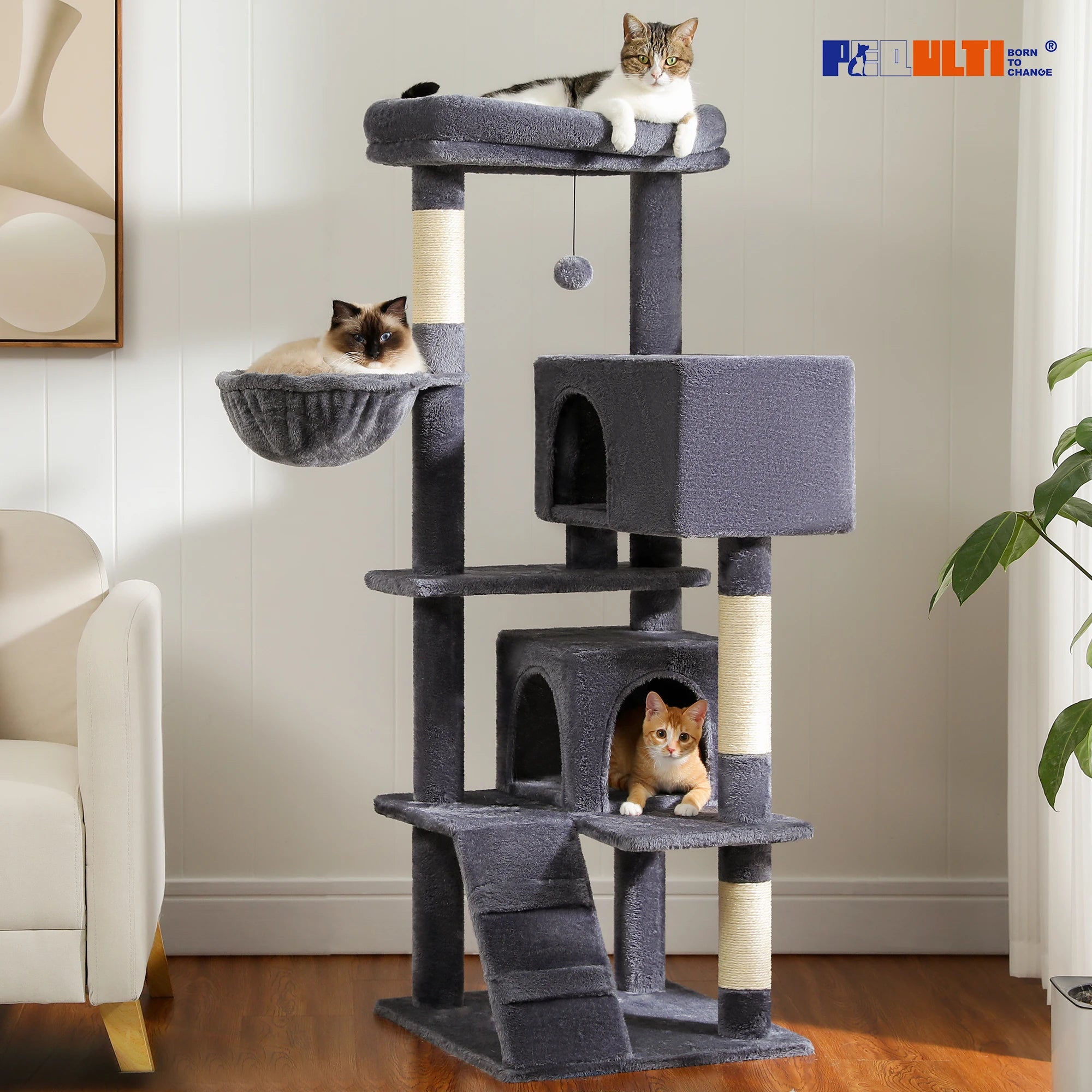 Multi-Level Cat Tree with Hammock