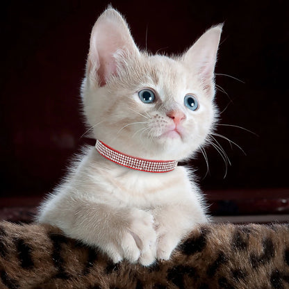 Soft Suede Leather Cat Collar