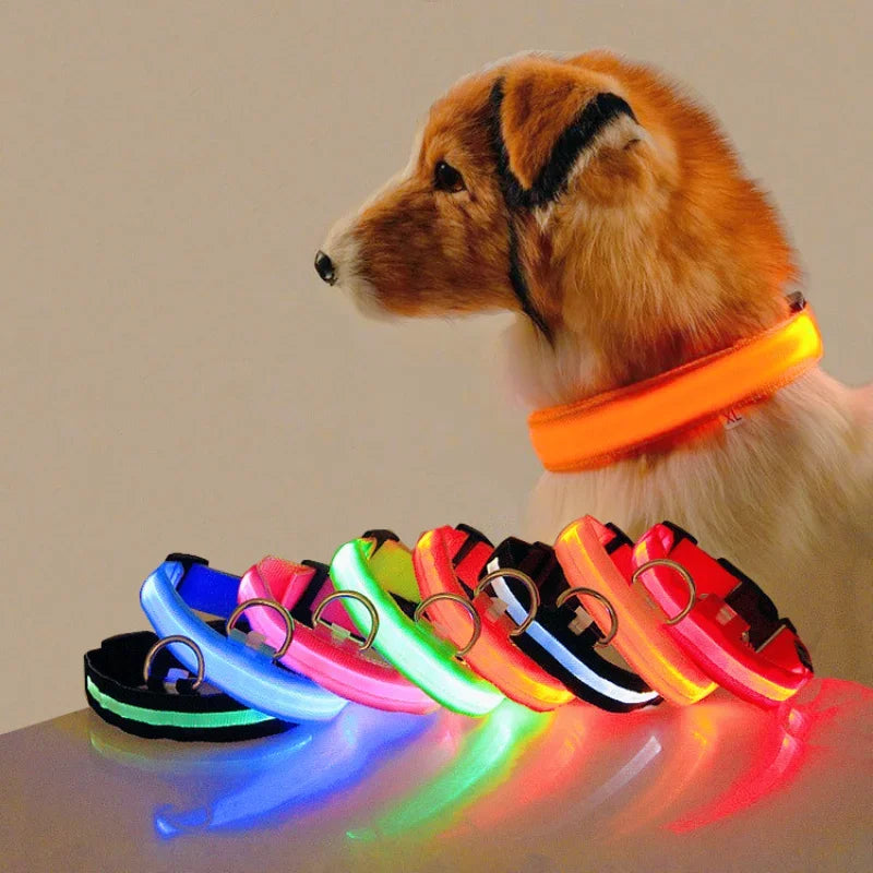 LED Light-Up Dog Collar