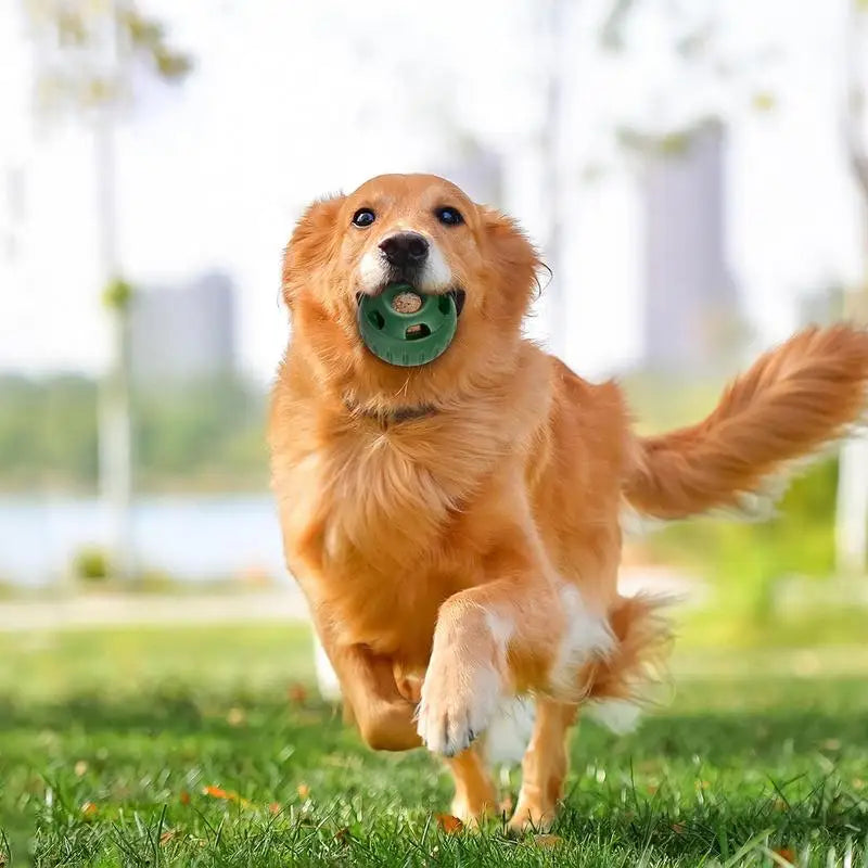 Natural Rubber Dog Chew Toy