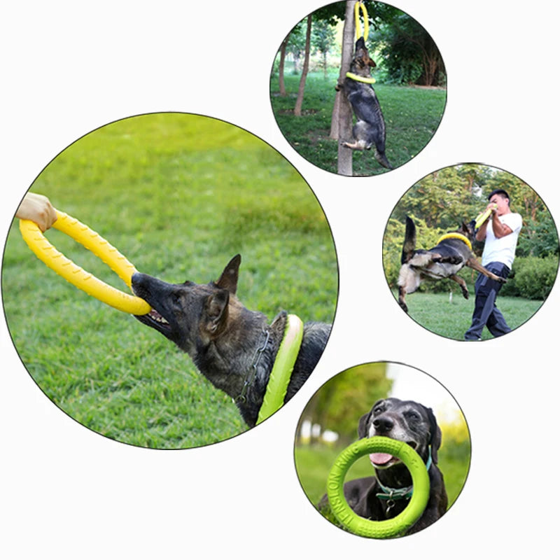 Dog Training Flying Disk Ring Puller