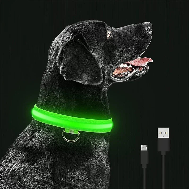 LED Light-Up Dog Collar