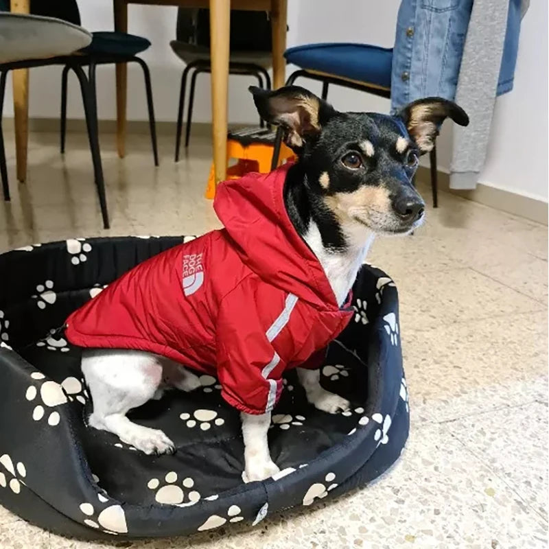 Waterproof Dog Raincoat