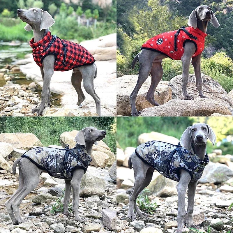 Fashion Vest for Dogs