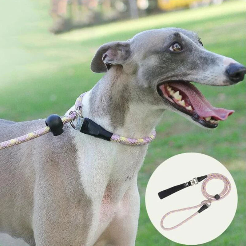 Reflective Dog Leash with Padded Handle