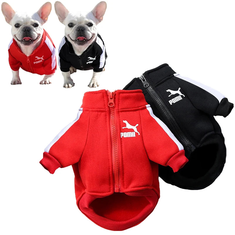 Winter Baseball Dog Jacket