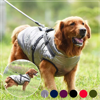 Fashion Vest for Dogs