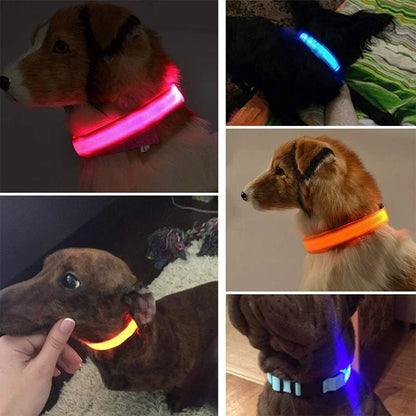 LED Light-Up Dog Collar