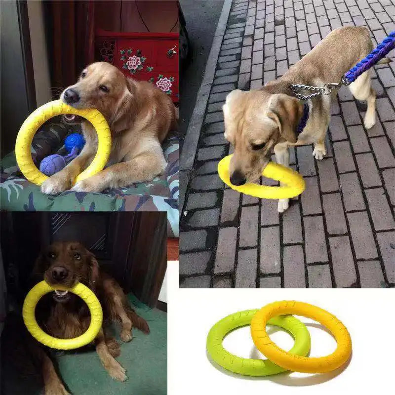 Dog Training Flying Disk Ring Puller