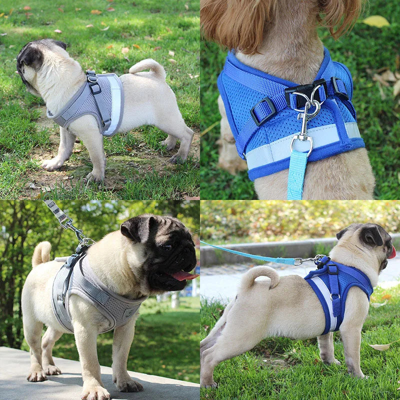 Reflective Dog Harness