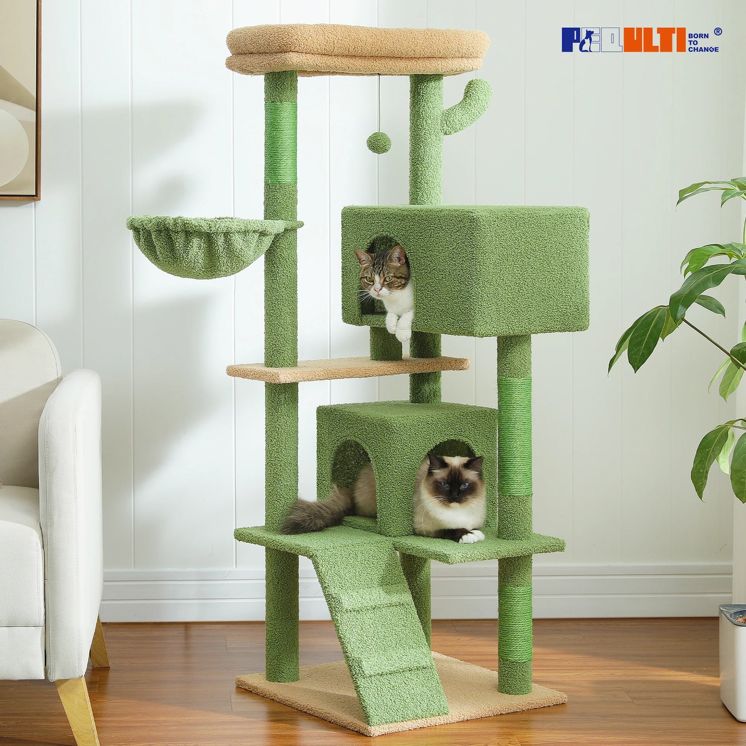 Multi-Level Cat Tree with Hammock