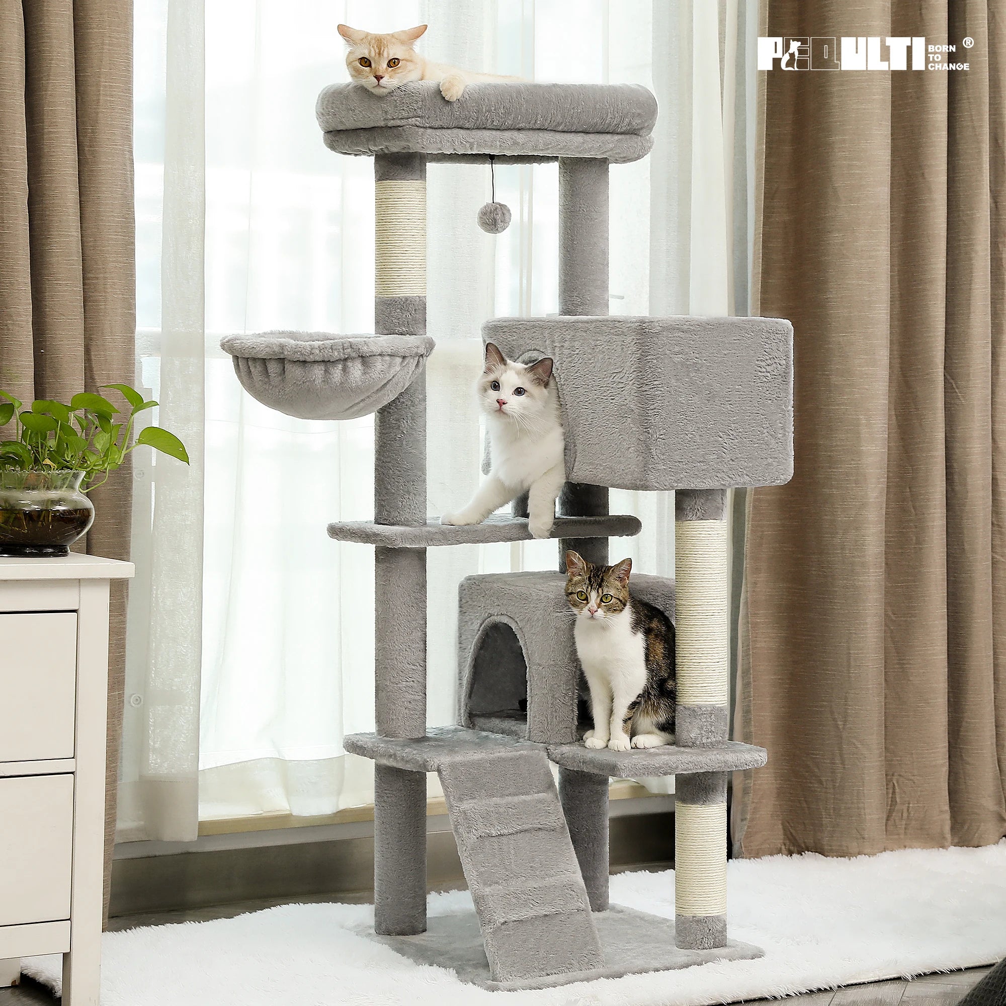 Multi-Level Cat Tree with Hammock