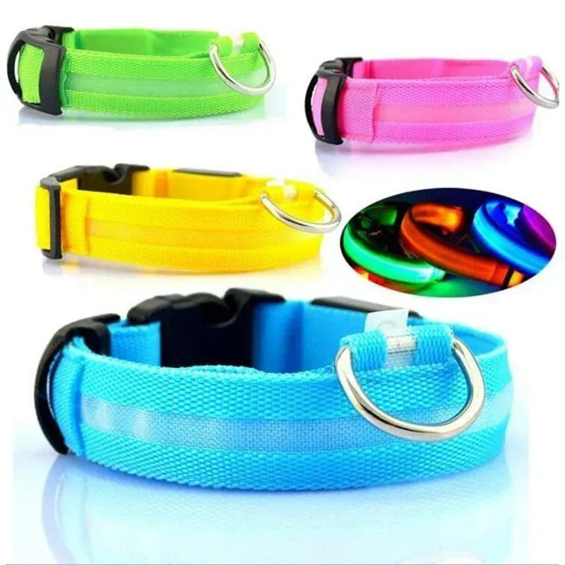 LED Light-Up Dog Collar